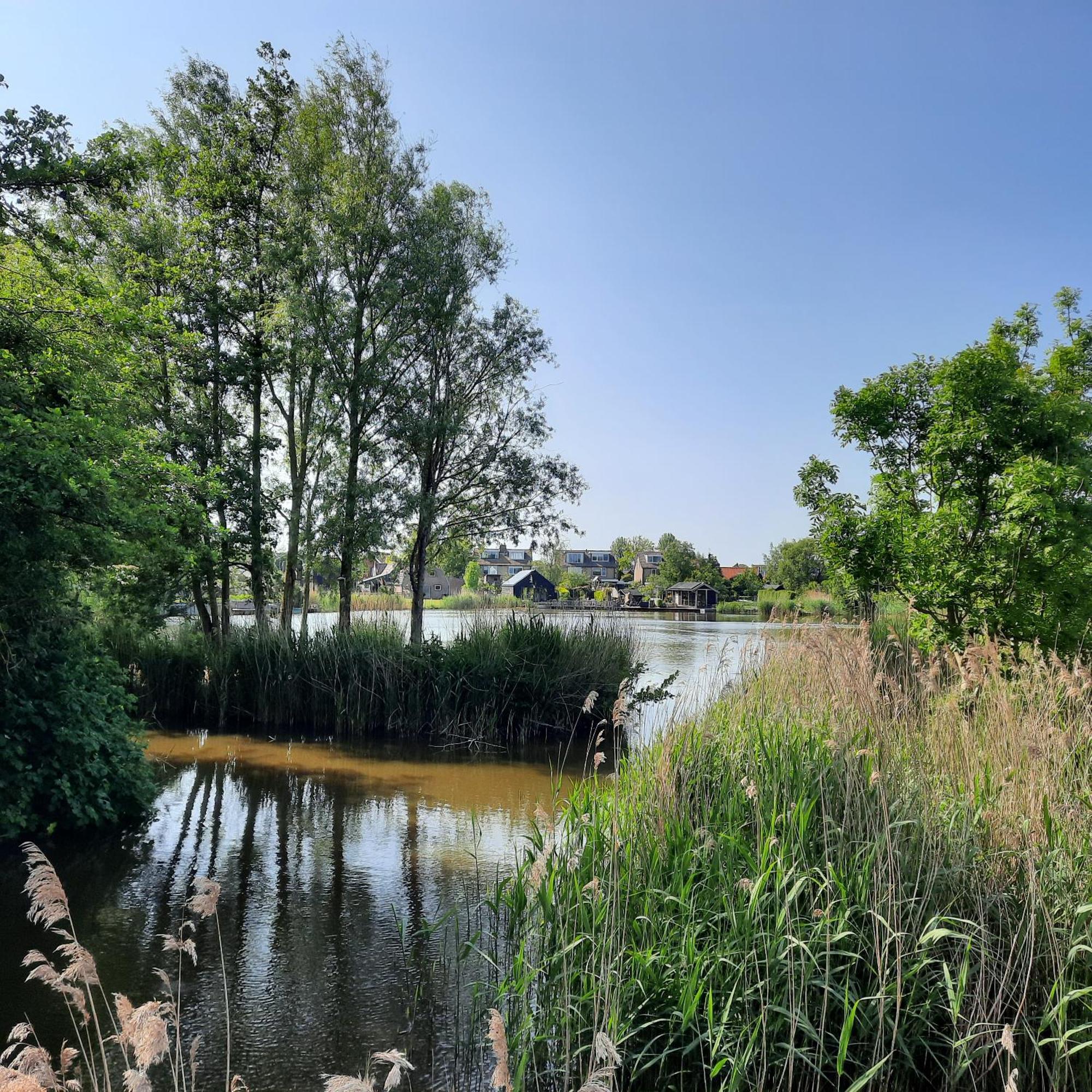 Meertje Villa 81 Op Recreatiepark De Wielen Синт-Мартен Экстерьер фото
